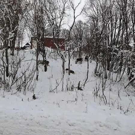 Koselig Leilighet Naer Bussholdeplass Og Natur. Tromso Exterior photo