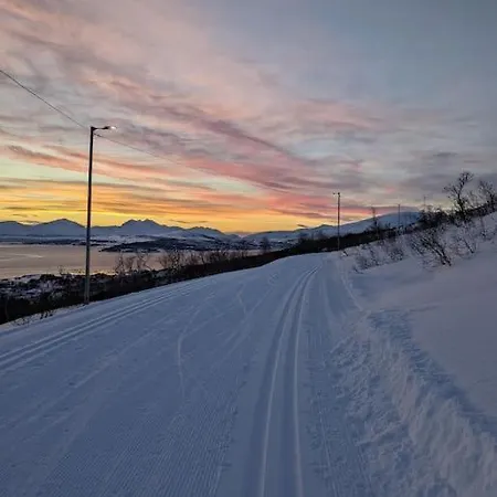 Koselig Leilighet Naer Bussholdeplass Og Natur. Tromso Exterior photo