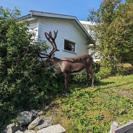 Koselig Leilighet Naer Bussholdeplass Og Natur. Tromso Exterior photo