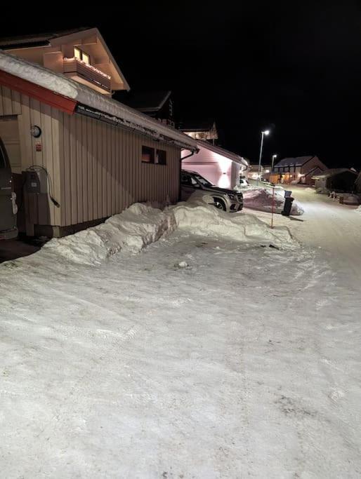 Koselig Naer Bussholdeplass Og Natur. * Tromso