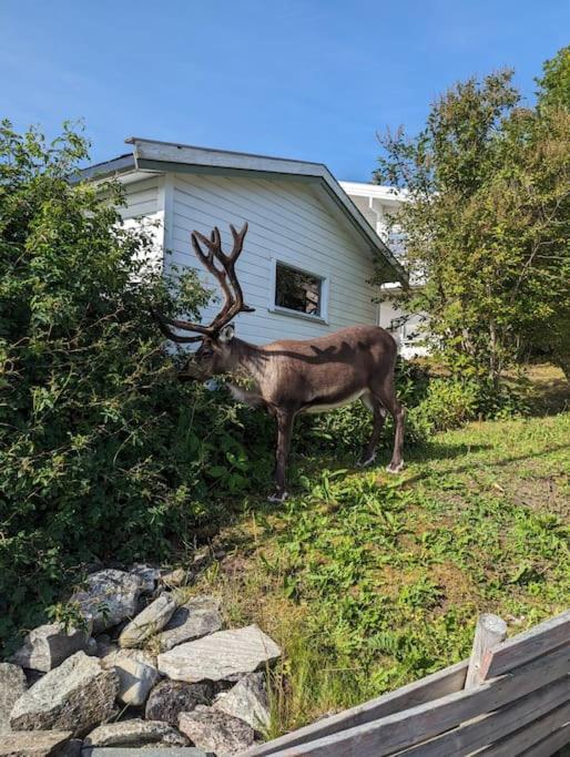 Koselig Naer Bussholdeplass Og Natur.