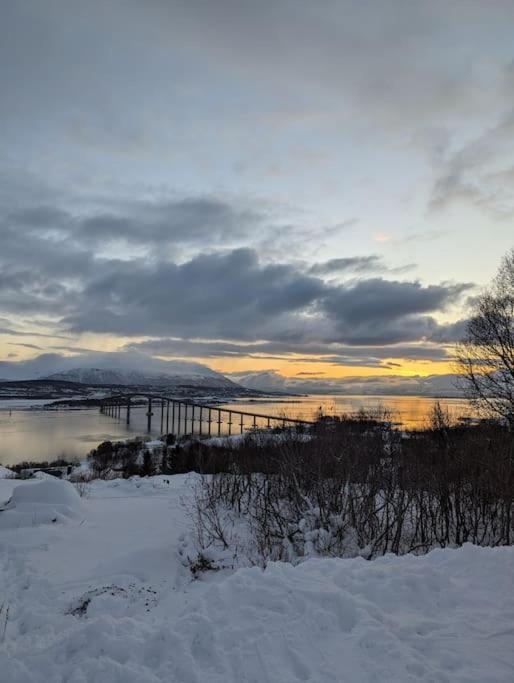 Koselig Naer Bussholdeplass Og Natur.