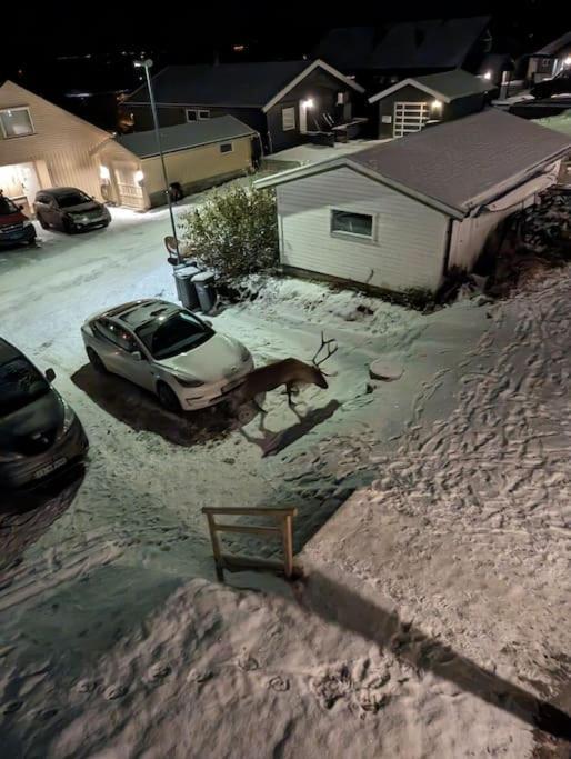 Koselig Naer Bussholdeplass Og Natur. Appartement