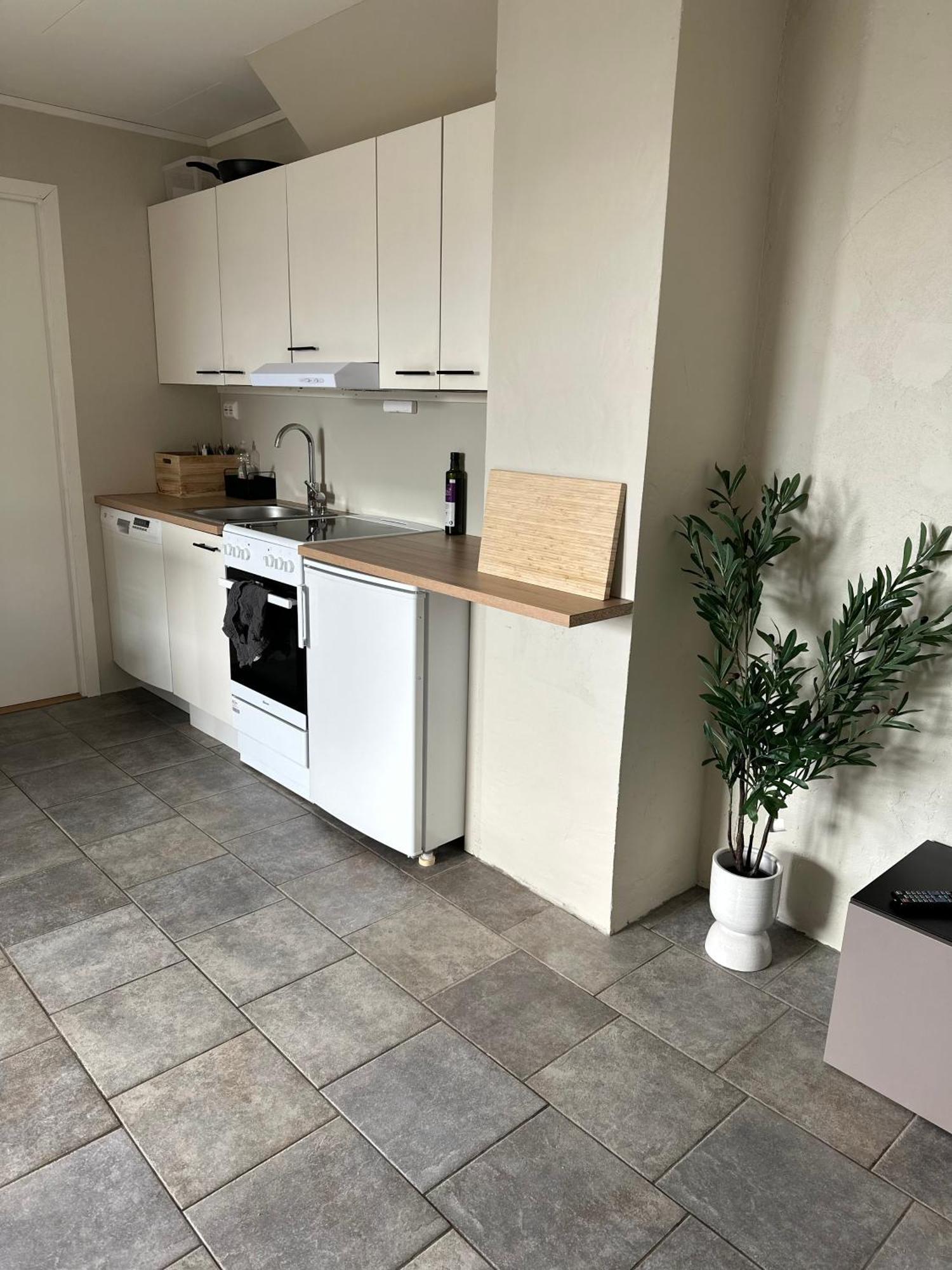 Appartement Koselig Naer Bussholdeplass Og Natur. Tromsø